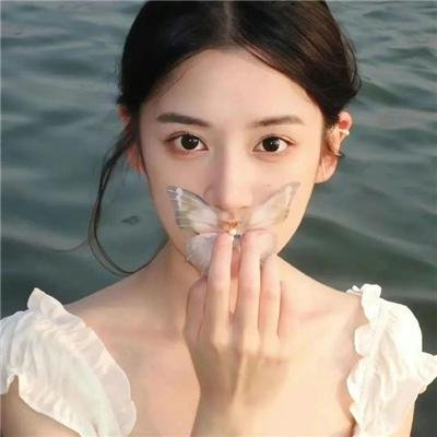 金装律师第四季